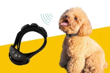 Electronic Dog Trainers